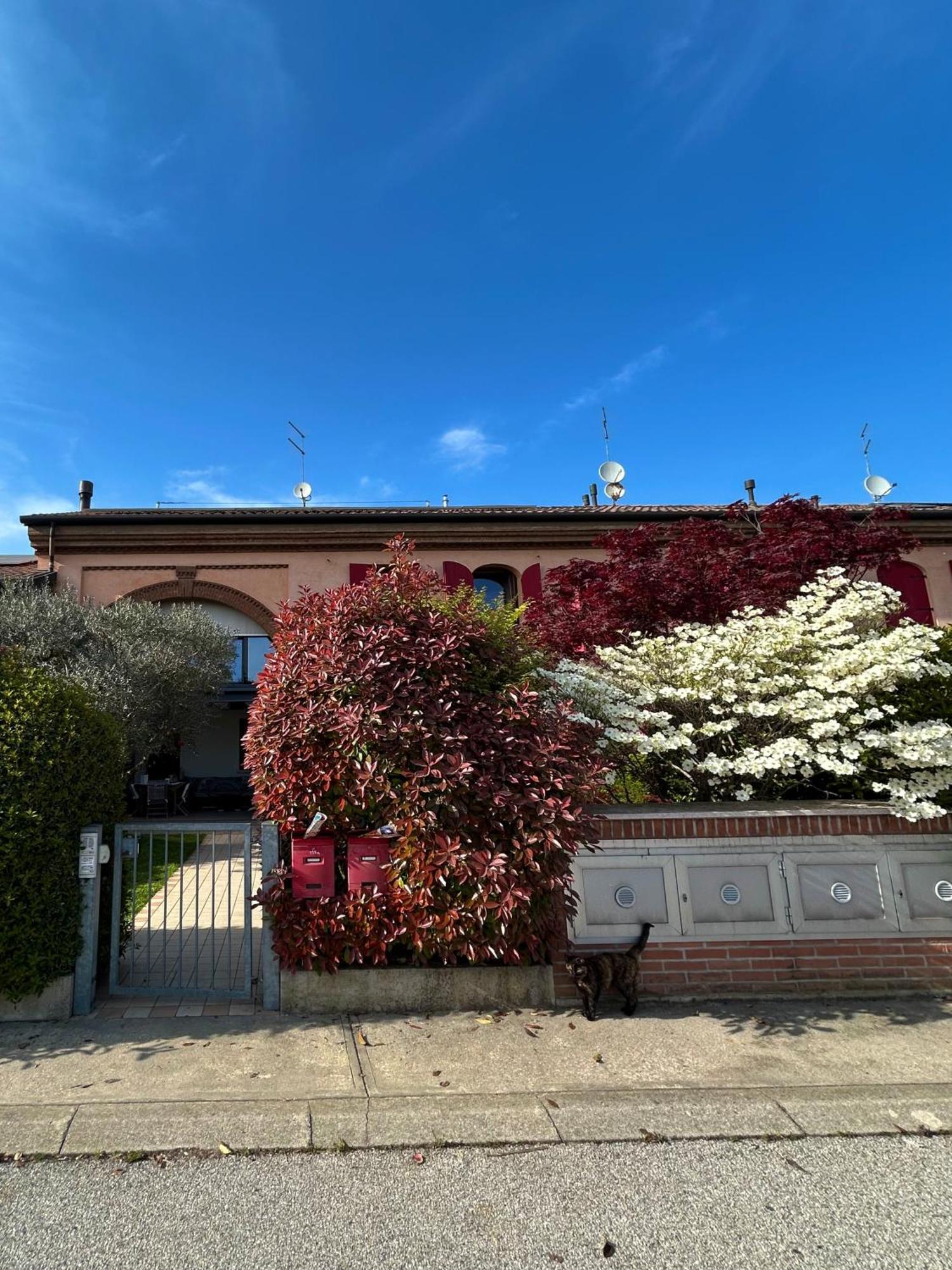 Soranza Suite Castelfranco Veneto Exterior foto